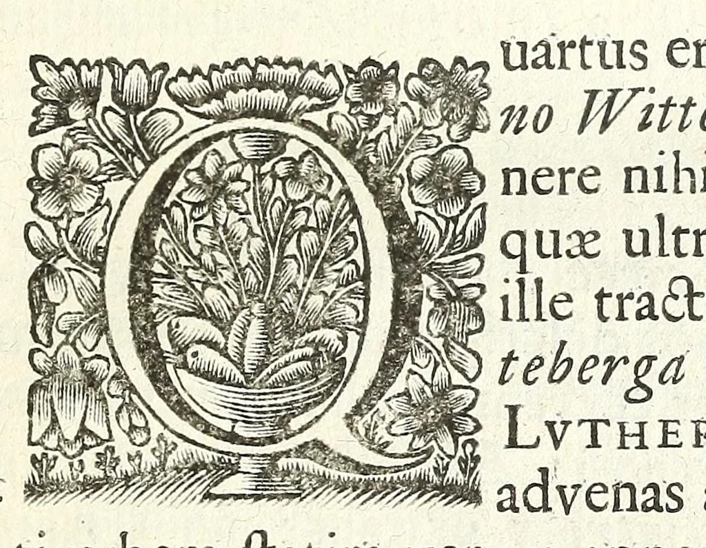 An illustration from Jacobi Tollii epistolae itinerariae : ex auctoris schedis postumis recensitae, suppletae, digestae : annotationibus, observationibus & figuris adornatae, 1700, leaf 95