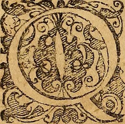 An illustration from Jacobi Zabarellæ Patavini de rebus naturalibus libri XXX : quibus quæstiones, quæ ab Aristotelis interpretibus hodie tractati solent, accurate discutiuntur. Cum triplici indices uno librorum, altero capitum omnium librorum, tertio rerum omnium notatu dignarum, quæ toto volumine continentur, 1597, leaf 165