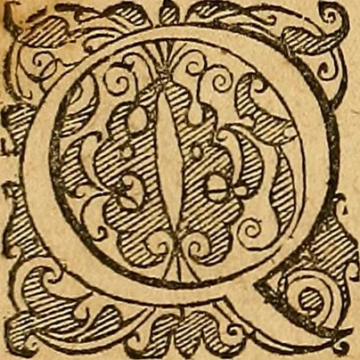 An illustration from Jacobi Zabarellæ Patavini de rebus naturalibus libri XXX : quibus quæstiones, quæ ab Aristotelis interpretibus hodie tractati solent, accurate discutiuntur. Cum triplici indices uno librorum, altero capitum omnium librorum, tertio rerum omnium notatu dignarum, quæ toto volumine continentur, 1597, leaf 173