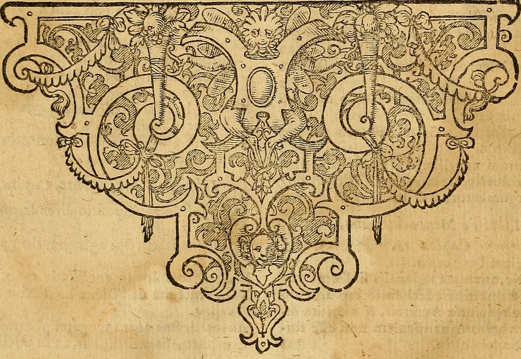 An illustration from Jacobi Zabarellæ Patavini de rebus naturalibus libri XXX : quibus quæstiones, quæ ab Aristotelis interpretibus hodie tractati solent, accurate discutiuntur. Cum triplici indices uno librorum, altero capitum omnium librorum, tertio rerum omnium notatu dignarum, quæ toto volumine continentur, 1597, leaf 19