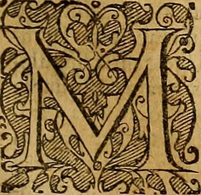 An illustration from Jacobi Zabarellæ Patavini de rebus naturalibus libri XXX : quibus quæstiones, quæ ab Aristotelis interpretibus hodie tractati solent, accurate discutiuntur. Cum triplici indices uno librorum, altero capitum omnium librorum, tertio rerum omnium notatu dignarum, quæ toto volumine continentur, 1597, leaf 206