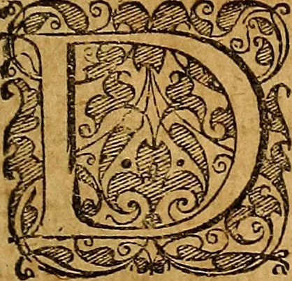An illustration from Jacobi Zabarellæ Patavini de rebus naturalibus libri XXX : quibus quæstiones, quæ ab Aristotelis interpretibus hodie tractati solent, accurate discutiuntur. Cum triplici indices uno librorum, altero capitum omnium librorum, tertio rerum omnium notatu dignarum, quæ toto volumine continentur, 1597, leaf 216