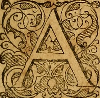 An illustration from Jacobi Zabarellæ Patavini de rebus naturalibus libri XXX : quibus quæstiones, quæ ab Aristotelis interpretibus hodie tractati solent, accurate discutiuntur. Cum triplici indices uno librorum, altero capitum omnium librorum, tertio rerum omnium notatu dignarum, quæ toto volumine continentur, 1597, leaf 290