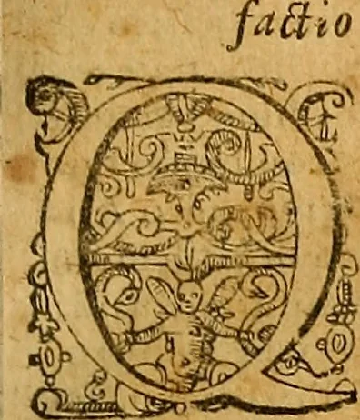 An illustration from Jacobi Zabarellæ Patavini de rebus naturalibus libri XXX : quibus quæstiones, quæ ab Aristotelis interpretibus hodie tractati solent, accurate discutiuntur. Cum triplici indices uno librorum, altero capitum omnium librorum, tertio rerum omnium notatu dignarum, quæ toto volumine continentur, 1597, leaf 324