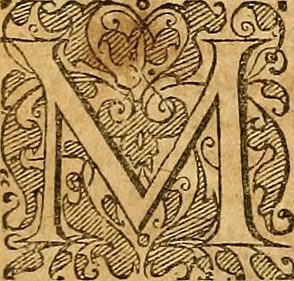 An illustration from Jacobi Zabarellæ Patavini de rebus naturalibus libri XXX : quibus quæstiones, quæ ab Aristotelis interpretibus hodie tractati solent, accurate discutiuntur. Cum triplici indices uno librorum, altero capitum omnium librorum, tertio rerum omnium notatu dignarum, quæ toto volumine continentur, 1597, leaf 383