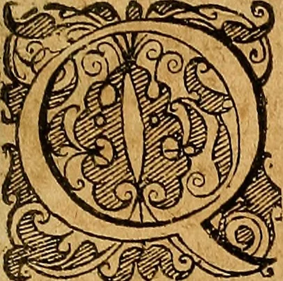 An illustration from Jacobi Zabarellæ Patavini de rebus naturalibus libri XXX : quibus quæstiones, quæ ab Aristotelis interpretibus hodie tractati solent, accurate discutiuntur. Cum triplici indices uno librorum, altero capitum omnium librorum, tertio rerum omnium notatu dignarum, quæ toto volumine continentur, 1597, leaf 402