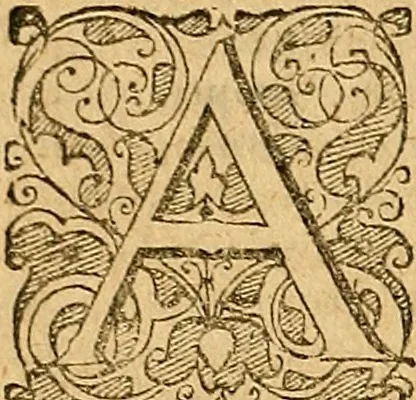 An illustration from Jacobi Zabarellæ Patavini de rebus naturalibus libri XXX : quibus quæstiones, quæ ab Aristotelis interpretibus hodie tractati solent, accurate discutiuntur. Cum triplici indices uno librorum, altero capitum omnium librorum, tertio rerum omnium notatu dignarum, quæ toto volumine continentur, 1597, leaf 435