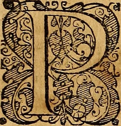 An illustration from Jacobi Zabarellæ Patavini de rebus naturalibus libri XXX : quibus quæstiones, quæ ab Aristotelis interpretibus hodie tractati solent, accurate discutiuntur. Cum triplici indices uno librorum, altero capitum omnium librorum, tertio rerum omnium notatu dignarum, quæ toto volumine continentur, 1597, leaf 523