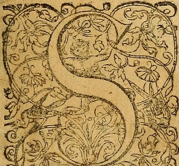 An illustration from Jacobi Zabarellæ Patavini de rebus naturalibus libri XXX : quibus quæstiones, quæ ab Aristotelis interpretibus hodie tractati solent, accurate discutiuntur. Cum triplici indices uno librorum, altero capitum omnium librorum, tertio rerum omnium notatu dignarum, quæ toto volumine continentur, 1597, leaf 6