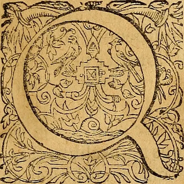 An illustration from Jacobi Zabarellæ Patavini de rebus naturalibus libri XXX : quibus quæstiones, quæ ab Aristotelis interpretibus hodie tractati solent, accurate discutiuntur. Cum triplici indices uno librorum, altero capitum omnium librorum, tertio rerum omnium notatu dignarum, quæ toto volumine continentur, 1597, leaf 8