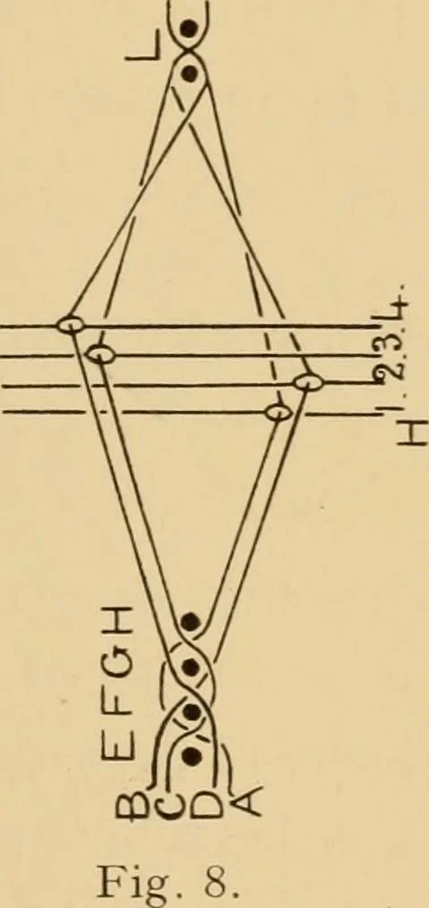 An illustration from Jacquard mechanism and harness mounting, 1912, leaf 24