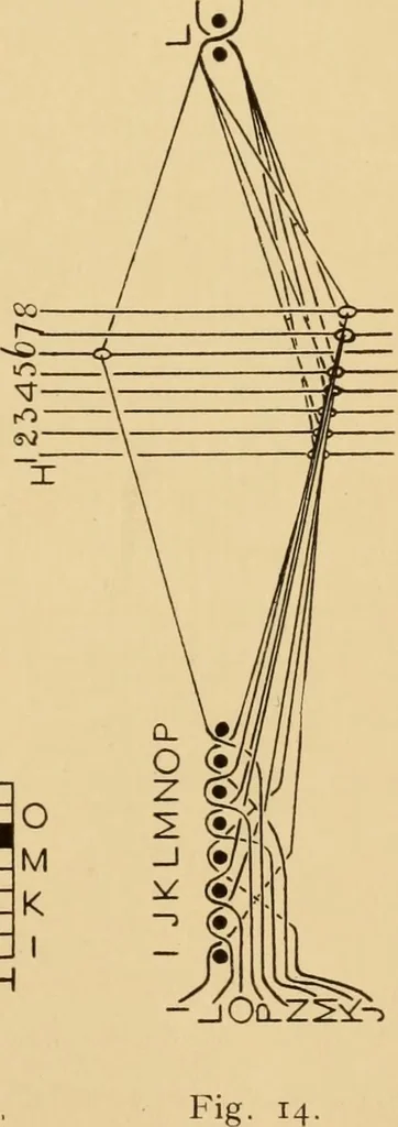 An illustration from Jacquard mechanism and harness mounting, 1912, leaf 26