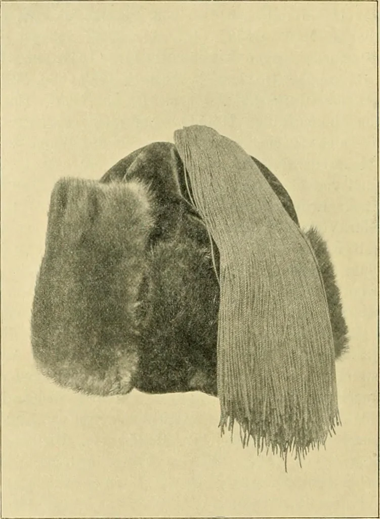 An illustration from Jahrbuch der hamburgischen Wissenschaftlichen Anstalten, 1883, leaf 219