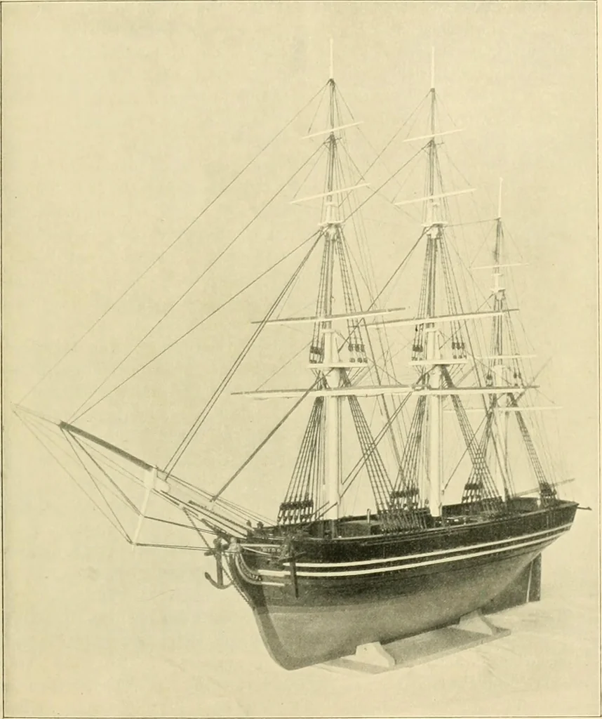 An illustration from Jahrbuch der hamburgischen Wissenschaftlichen Anstalten, 1883, leaf 224