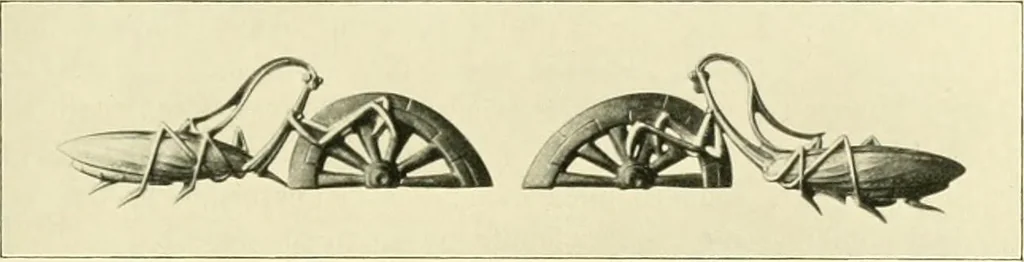 An illustration from Jahrbuch der hamburgischen Wissenschaftlichen Anstalten, 1883, leaf 324