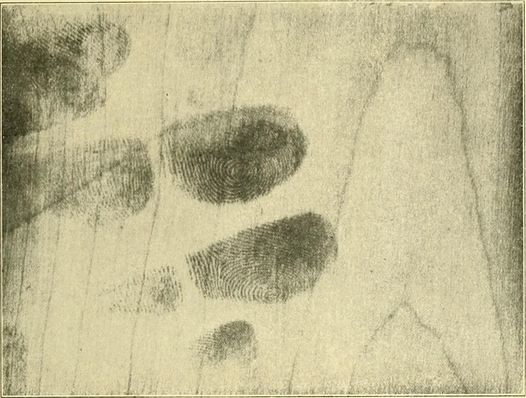 An illustration from Jahrbuch der hamburgischen Wissenschaftlichen Anstalten, 1883, leaf 384