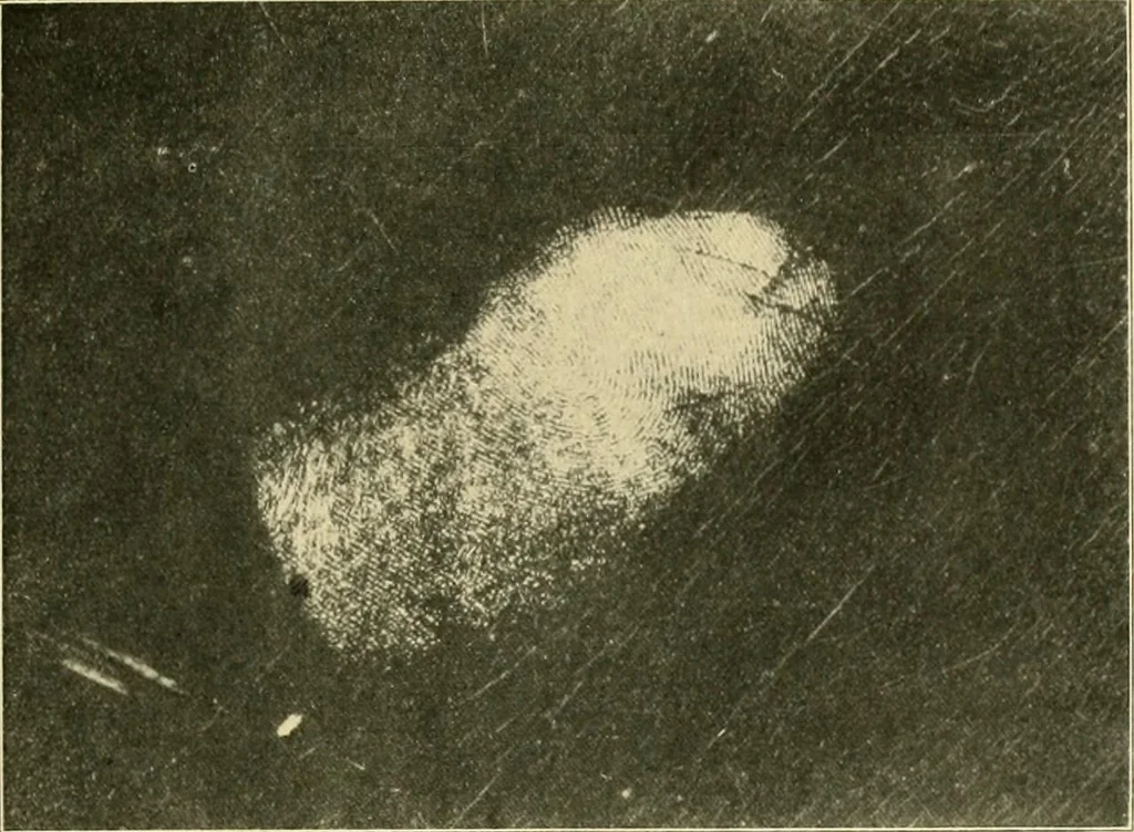 An illustration from Jahrbuch der hamburgischen Wissenschaftlichen Anstalten, 1883, leaf 386