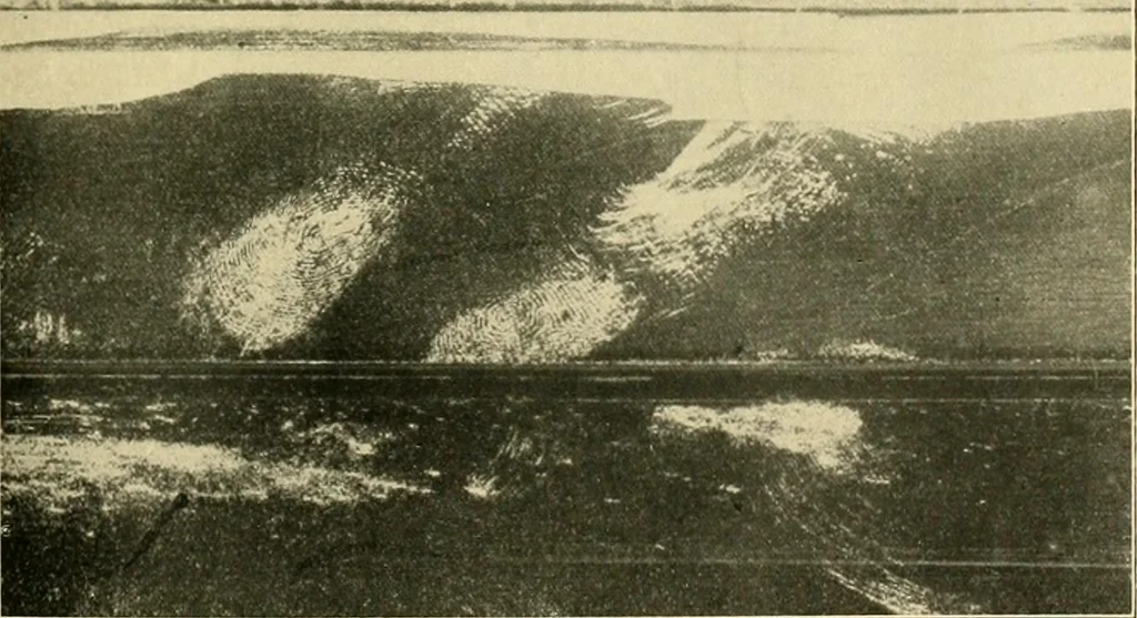 An illustration from Jahrbuch der hamburgischen Wissenschaftlichen Anstalten, 1883, leaf 386