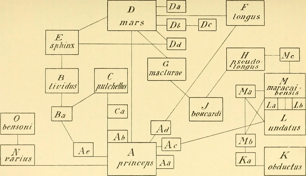 An illustration from Jahrbuch der hamburgischen Wissenschaftlichen Anstalten, 1883, leaf 618