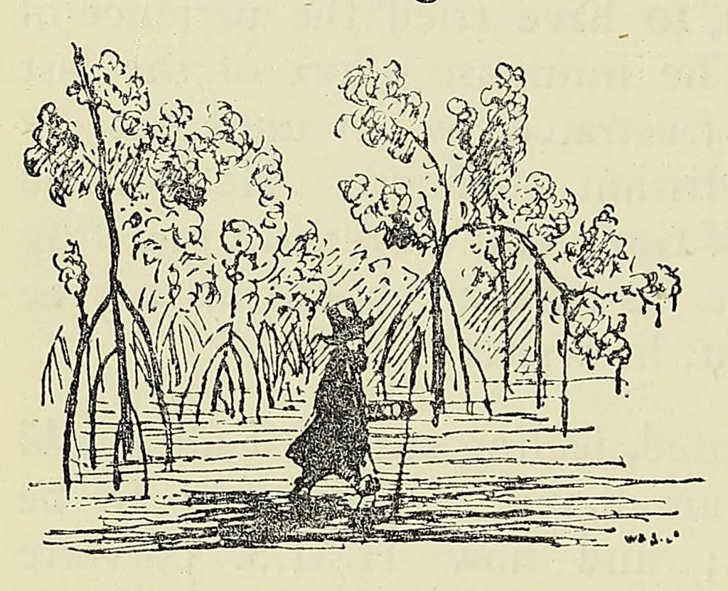An illustration from James Hannington, first bishop of eastern equatorial Africa : a history of his life and work, 1847-1885 / by E.C. Dawson, 1891, leaf 358