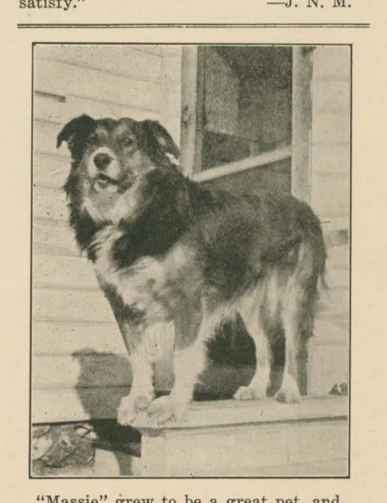 An illustration from January 1928, 1928, leaf 16