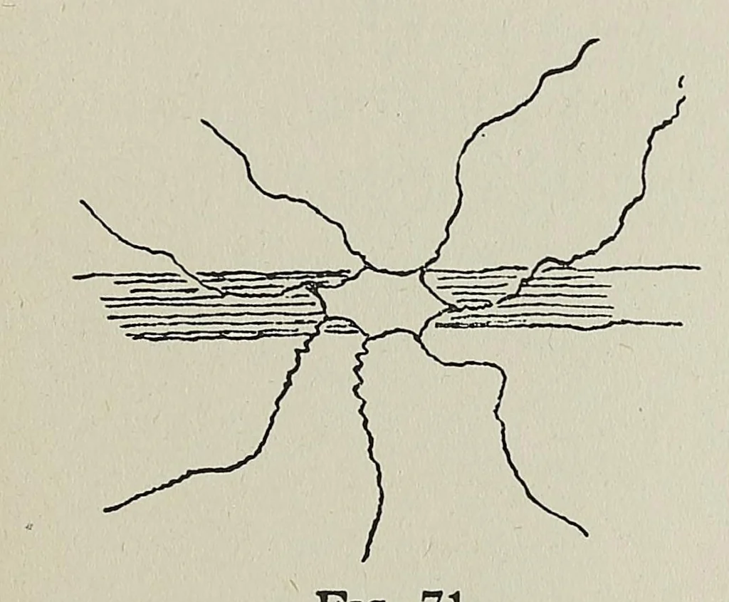 An illustration from Japan day by day, 1877, 1878-79, 1882-83, 1917, leaf 105