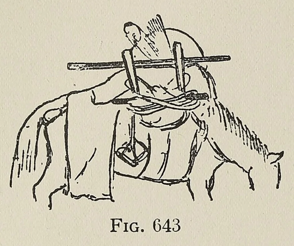 An illustration from Japan day by day, 1877, 1878-79, 1882-83, 1917, leaf 256