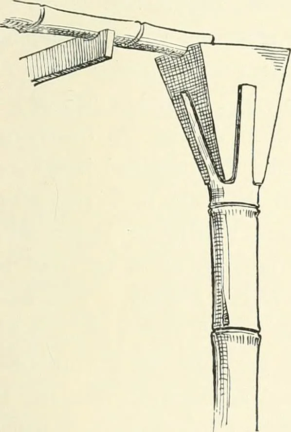 An illustration from Japanese homes and their surroundings, 1895, leaf 118