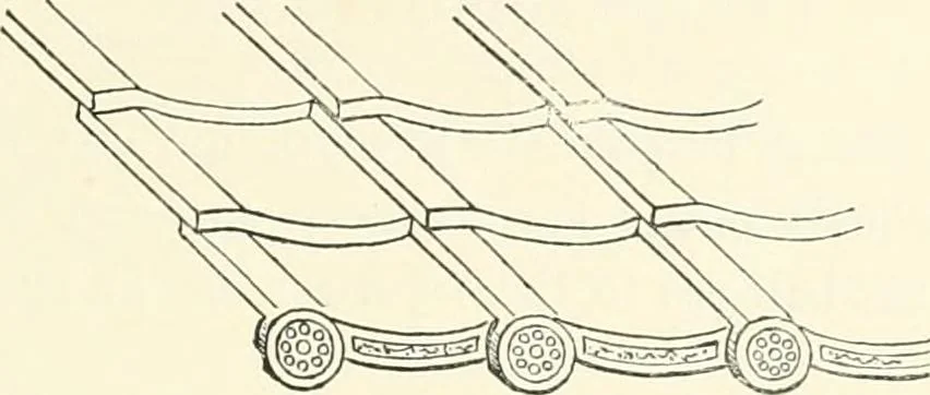 An illustration from Japanese homes and their surroundings, 1895, leaf 122