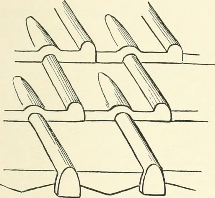 An illustration from Japanese homes and their surroundings, 1895, leaf 124