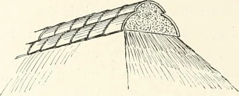 An illustration from Japanese homes and their surroundings, 1895, leaf 129