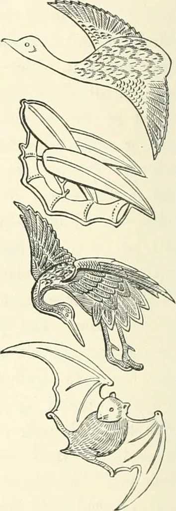 An illustration from Japanese homes and their surroundings, 1895, leaf 169