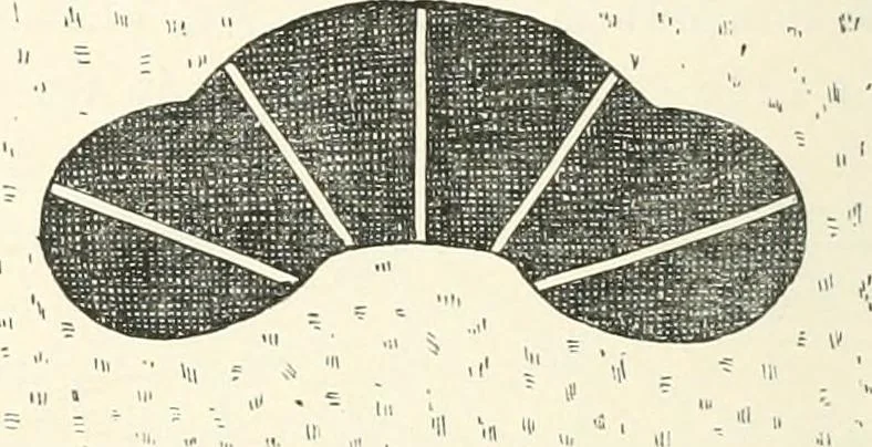 An illustration from Japanese homes and their surroundings, 1895, leaf 211