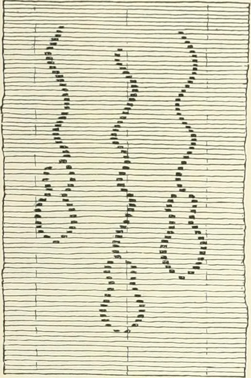 An illustration from Japanese homes and their surroundings, 1895, leaf 218