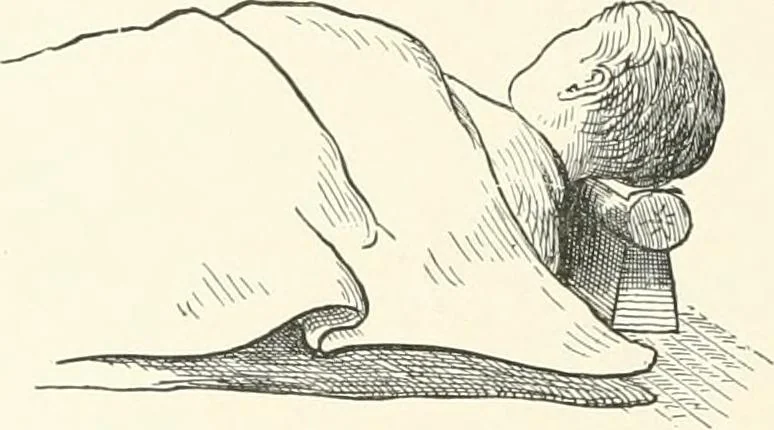 An illustration from Japanese homes and their surroundings, 1895, leaf 247