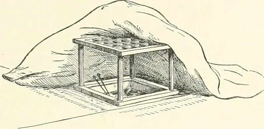 An illustration from Japanese homes and their surroundings, 1895, leaf 248