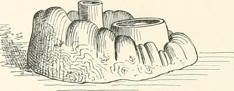 An illustration from Japanese homes and their surroundings, 1895, leaf 253