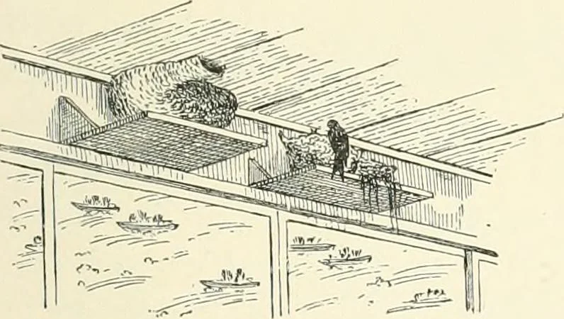 An illustration from Japanese homes and their surroundings, 1895, leaf 262