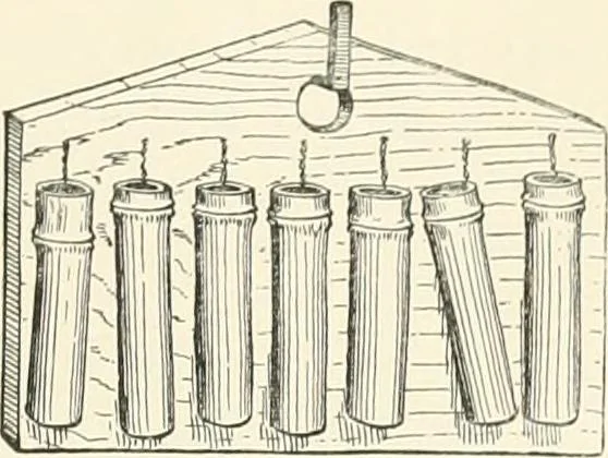 An illustration from Japanese homes and their surroundings, 1895, leaf 294