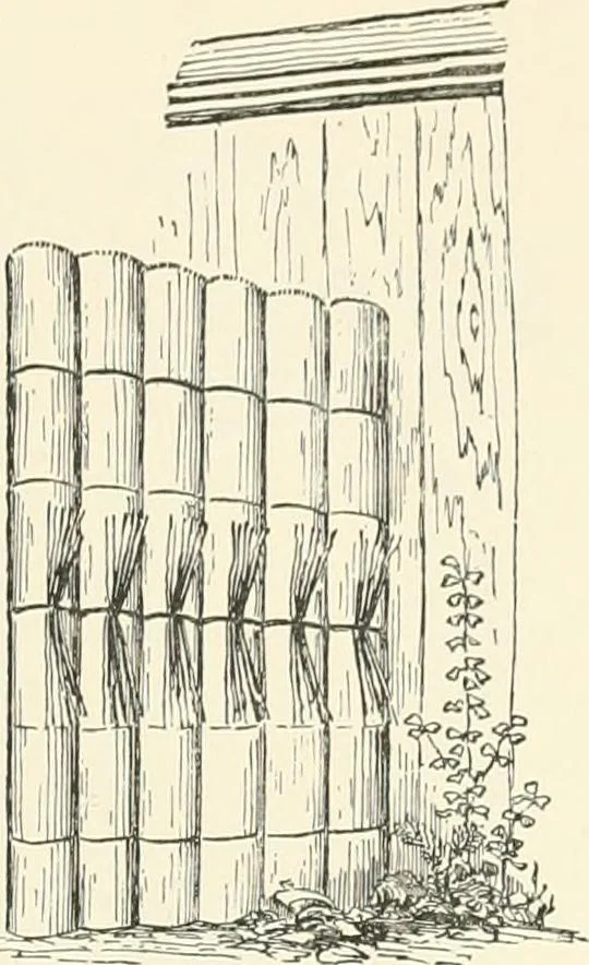 An illustration from Japanese homes and their surroundings, 1895, leaf 306