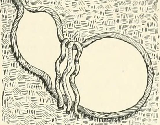 An illustration from Japanese homes and their surroundings, 1895, leaf 318