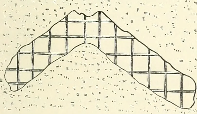 An illustration from Japanese homes and their surroundings, 1895, leaf 318