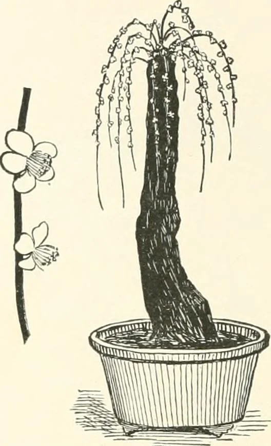 An illustration from Japanese homes and their surroundings, 1895, leaf 323