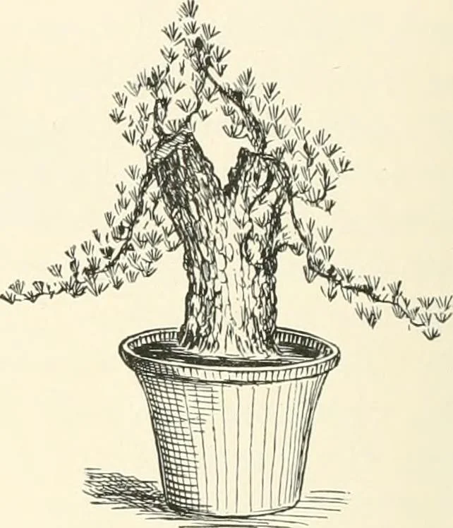An illustration from Japanese homes and their surroundings, 1895, leaf 323