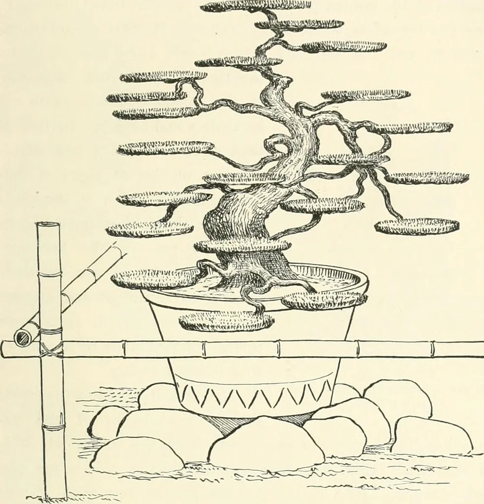 An illustration from Japanese homes and their surroundings, 1895, leaf 324