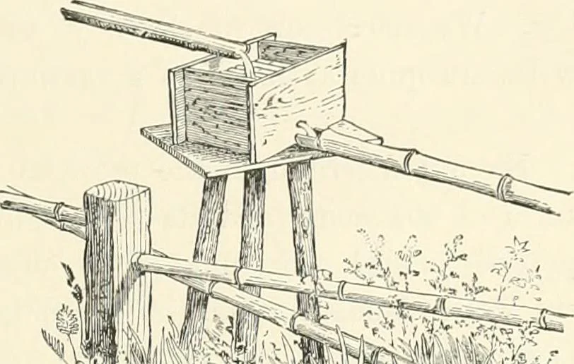 An illustration from Japanese homes and their surroundings, 1895, leaf 336