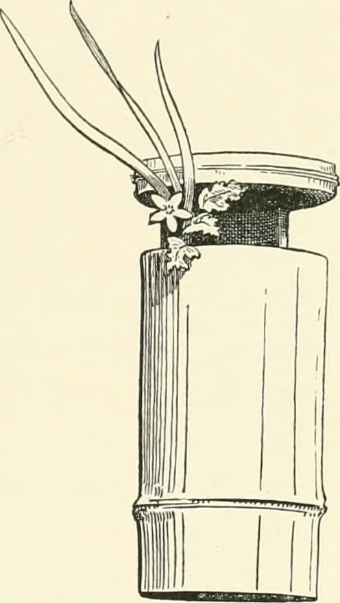 An illustration from Japanese homes and their surroundings, 1895, leaf 340