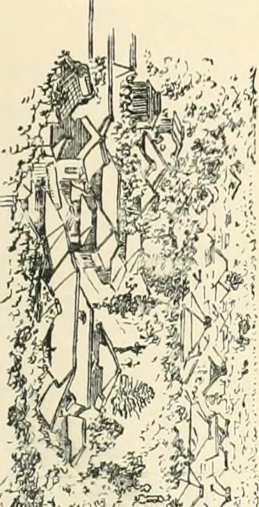 An illustration from Japanese homes and their surroundings, 1895, leaf 38