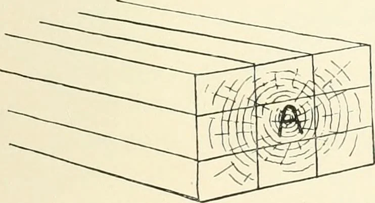 An illustration from Japanese homes and their surroundings, 1895, leaf 60