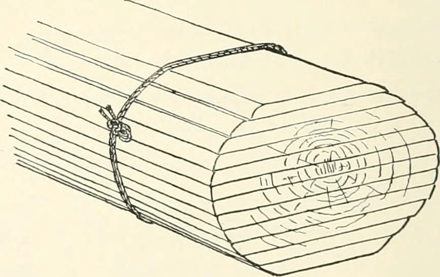 An illustration from Japanese homes and their surroundings, 1895, leaf 61
